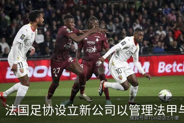 法国足协设立新公司以管理法甲与法乙的商业权益